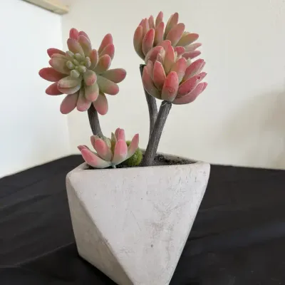 Artificial Pink Succulent Arrangement in Modern Geometric Concrete Planter – Faux Plant Home 