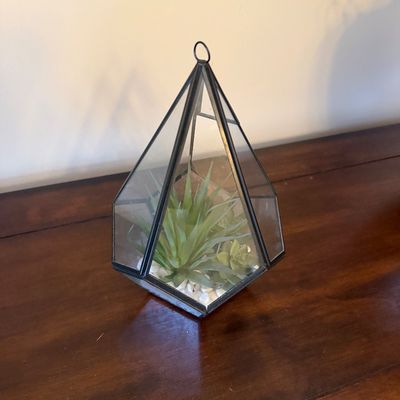 Sale Photo Thumbnail #144