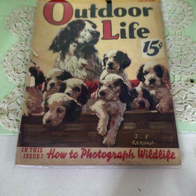 Sale Photo Thumbnail #30