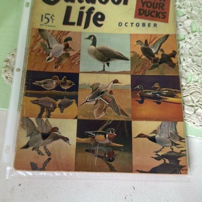Sale Photo Thumbnail #36