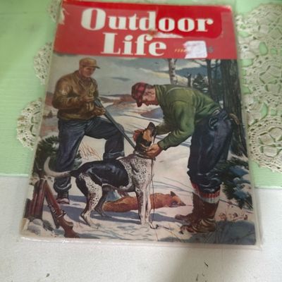 Sale Photo Thumbnail #39