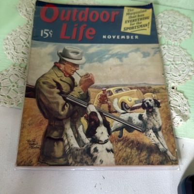 Sale Photo Thumbnail #35
