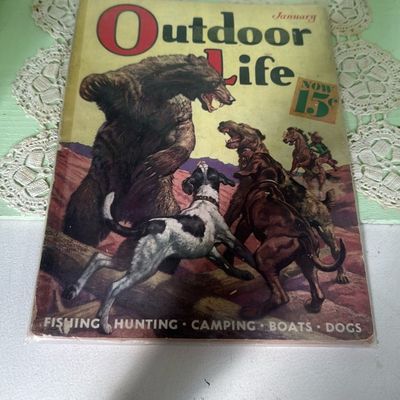 Sale Photo Thumbnail #53
