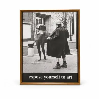 112 exposeyourselftoartframedvintageartposterprint