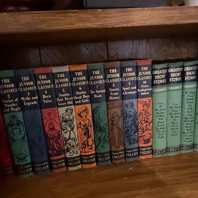 Sale Photo Thumbnail #139: The Junior Classics and Greatest Short Stories Collection