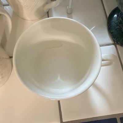 Mikasa English Countryside White Mug