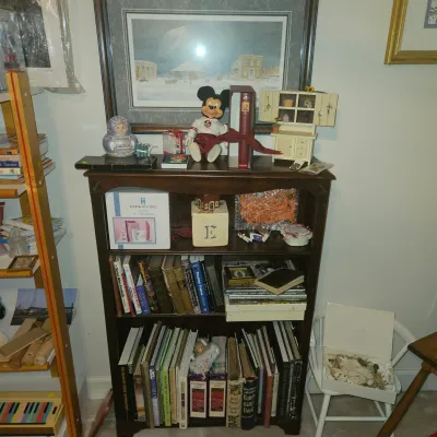 Vintage Books and vintage Mickey
