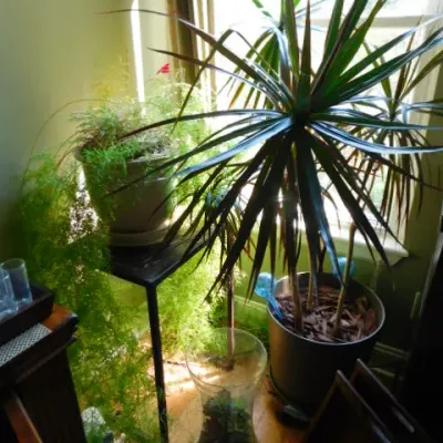 Sale Photo Thumbnail #183