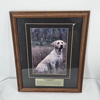 Sale Photo Thumbnail #329