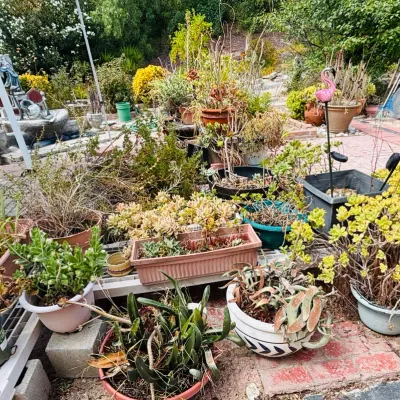 Sale Photo Thumbnail #294