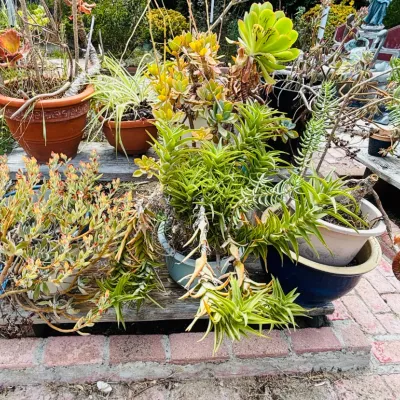 Sale Photo Thumbnail #291