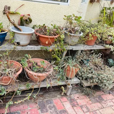 Sale Photo Thumbnail #299