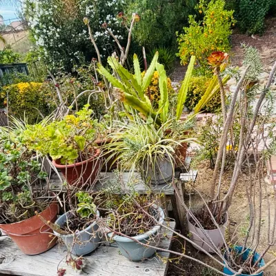 Sale Photo Thumbnail #290