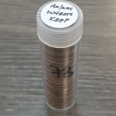 Sale Photo Thumbnail #160: Tube of Wheat Cents