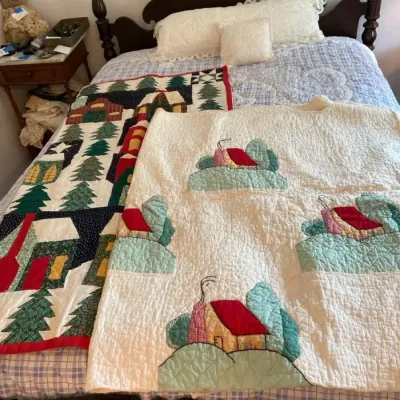 2 Quilts 