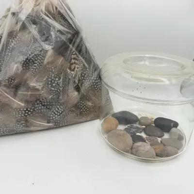 Glass Vase With Rocks & Bag Of Feathers