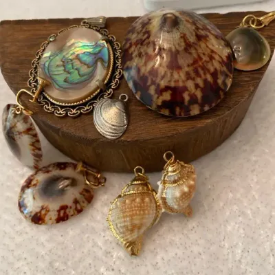 Shell Earrings And Pendants 