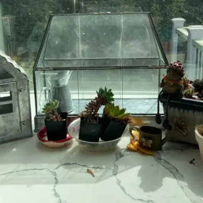 Glass Plant Terrarium With Succulents And Decor