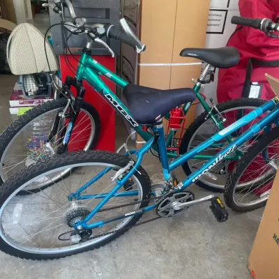 2 Gear Shift Bikes: MGX And Ironhorse 