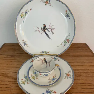 Haviland Limoges Birds Of Paradise Well Platter, Dining Plate & Cup + Saucer