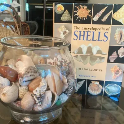 Glass Bowl of Shells and Encyclopedia of Shells