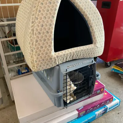 Cat Lovers-Kennel Cab II, Scoop Free Litter Trays, Window Perch, Bed & Accessories 
