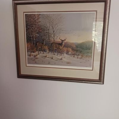 Sale Photo Thumbnail #97