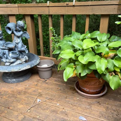 Sale Photo Thumbnail #221