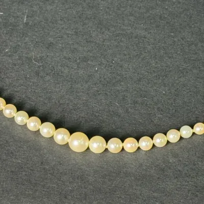 Graduated Cultured Pearl Necklace With 10K Gold Clasp - 21"
