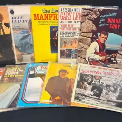 The Mamas & the Papas, Sam the Sham, Manfred Mann, Johnny Rivers & 1960s–70s Vinyl Collection