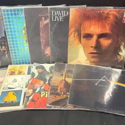 Pink Floyd & David Bowie Classic Rock Vinyl Collection