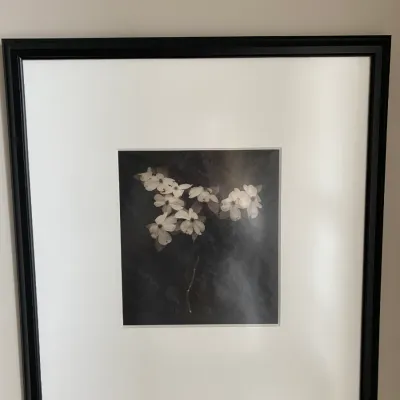 Sale Photo Thumbnail #100
