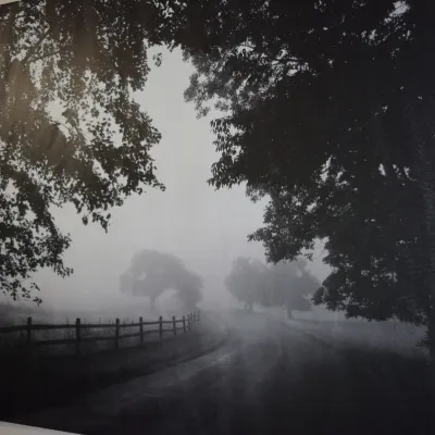 Sale Photo Thumbnail #134