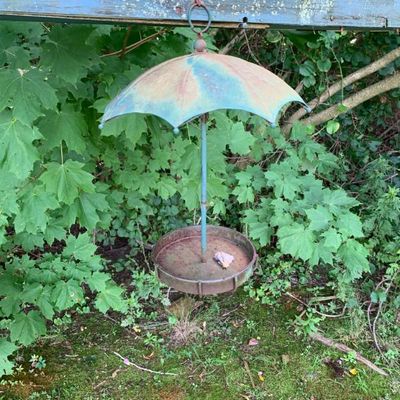Sale Photo Thumbnail #127: 3 umbrella top bird feeders