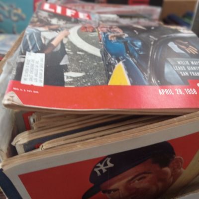 Sale Photo Thumbnail #103