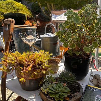 Sale Photo Thumbnail #551