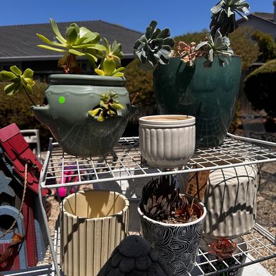 Sale Photo Thumbnail #533