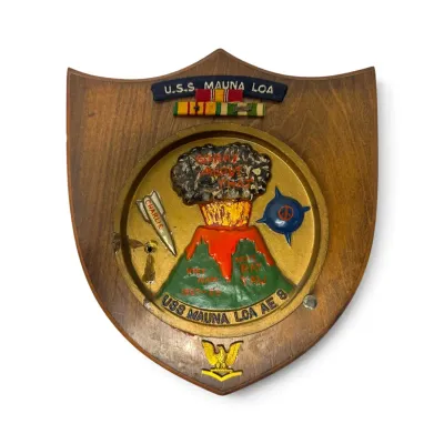 US Military Vietnam Plaque