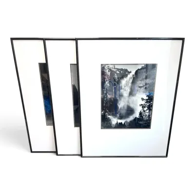 Three Large Matted Dynamic Nature Prints (38.8” x 49.8” )
