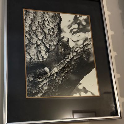 Sale Photo Thumbnail #104