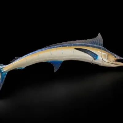 Painted Fiberglass Marlin Fish Mount