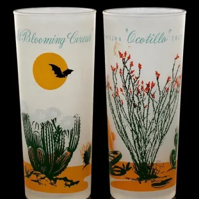 Sale Photo Thumbnail #10: Pair of Arizona Desert Motif Frosted Glasses