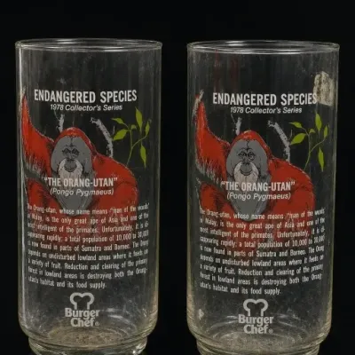 Sale Photo Thumbnail #138: Pair Burger Chef Endangered Species Orangutan Glasses