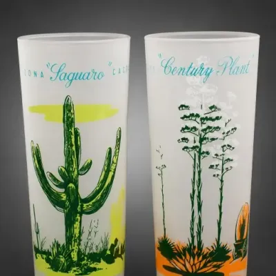 Sale Photo Thumbnail #226: Arizona Saguaro and Century Plant Glass Tumblers Pair
