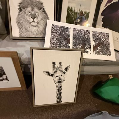Sale Photo Thumbnail #231