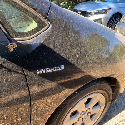 This is a 2009 Toyota Prius Hybrid that I'll be selling for super cheap! It has been sitting in the driveway for several years,...