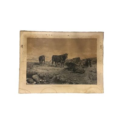 Sale Photo Thumbnail #60