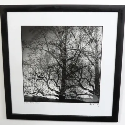 Sale Photo Thumbnail #145