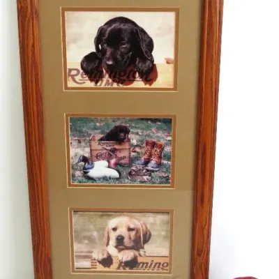 Sale Photo Thumbnail #329