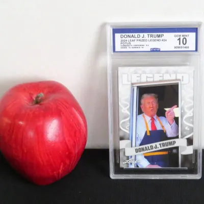 Sale Photo Thumbnail #297